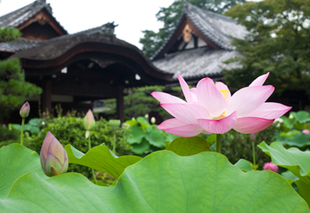 季節の旅