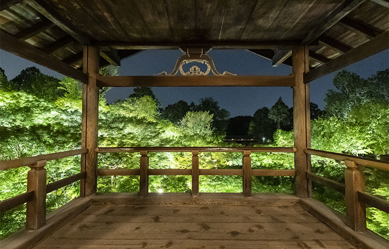 東福寺 青もみじ