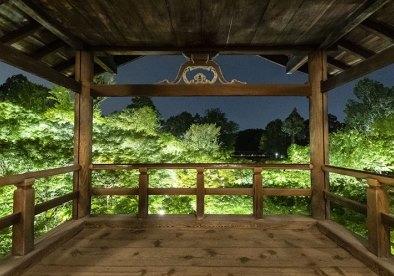 東福寺 青もみじ