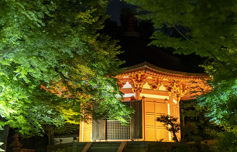 東福寺 青もみじ