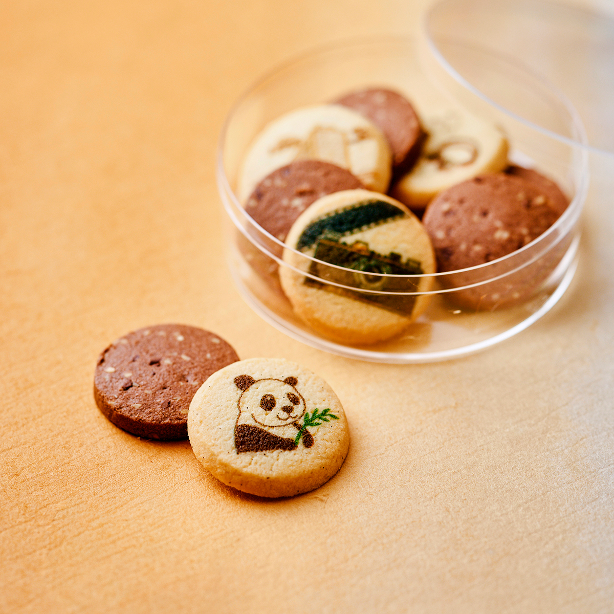 カフェ レックコート