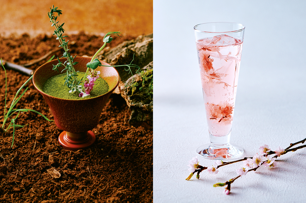 バー チッペンデール