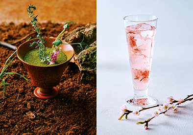 バー チッペンデール