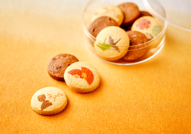 カフェ レックコート