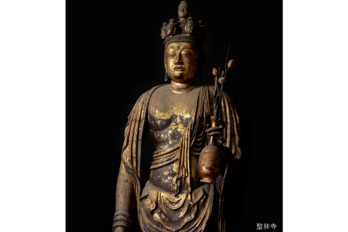 季節の旅 日帰りプラン】シリーズ「語りかける、ひとみ」 (全12回予定